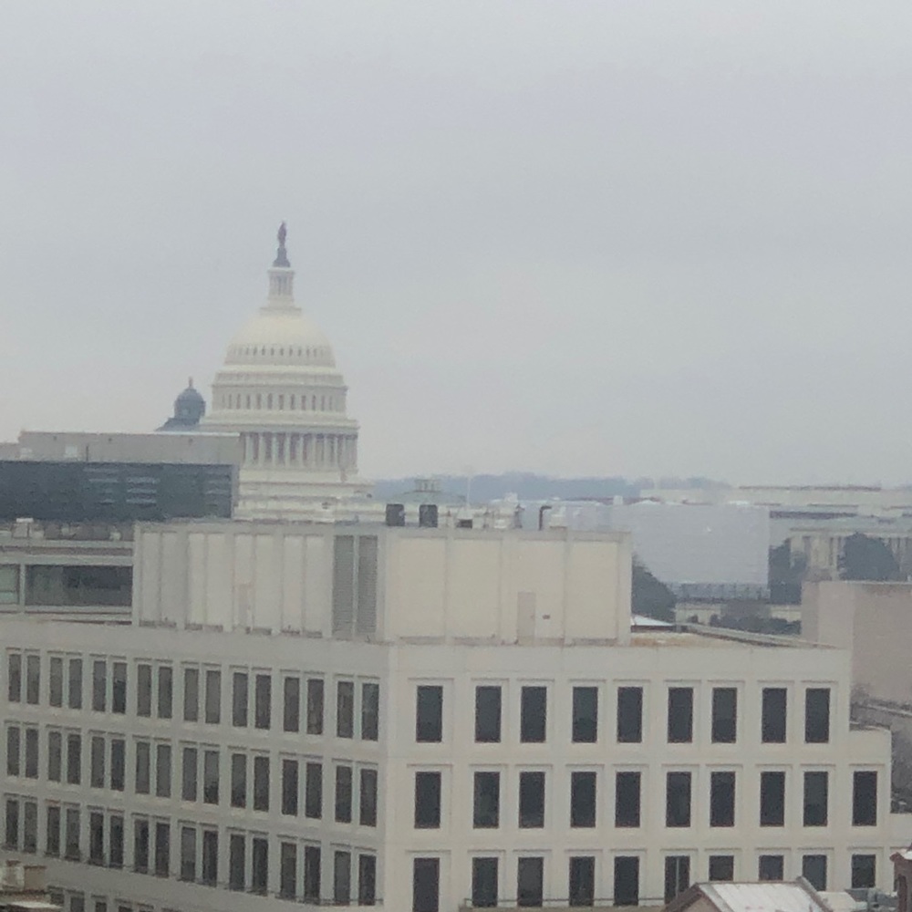 Meet your Posher, Shelley